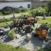 Nice garden